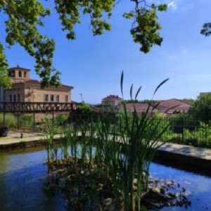 Quelques souvenirs d'un passage éclair à Aix-en-Provence ⚡.#france #aixenprovence #city
